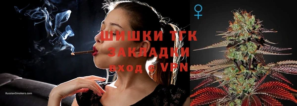 мяу мяу мука Покачи