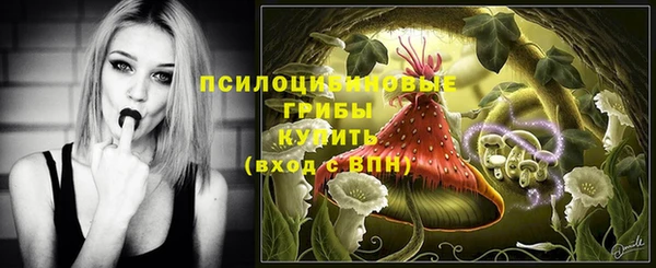 мяу мяу мука Покачи